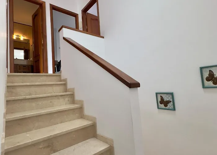 Garaymaca Punta Del Hidalgo